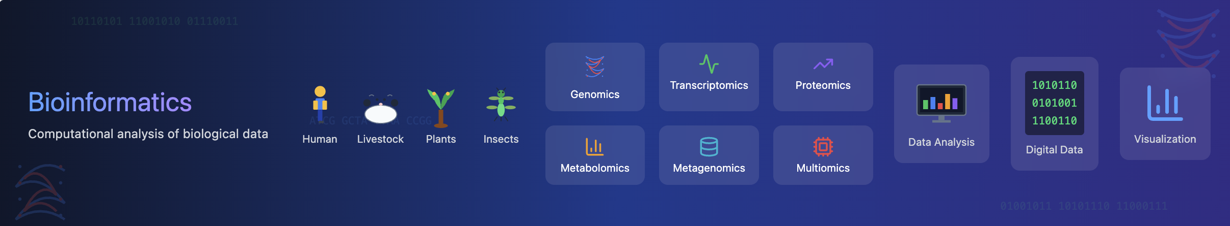 Bioinformatics Banner