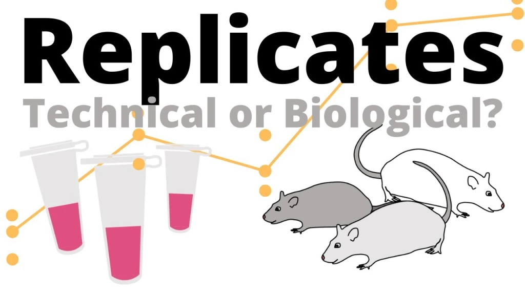 Technical vs biological replicates