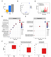 Scientific Figures Illustrator